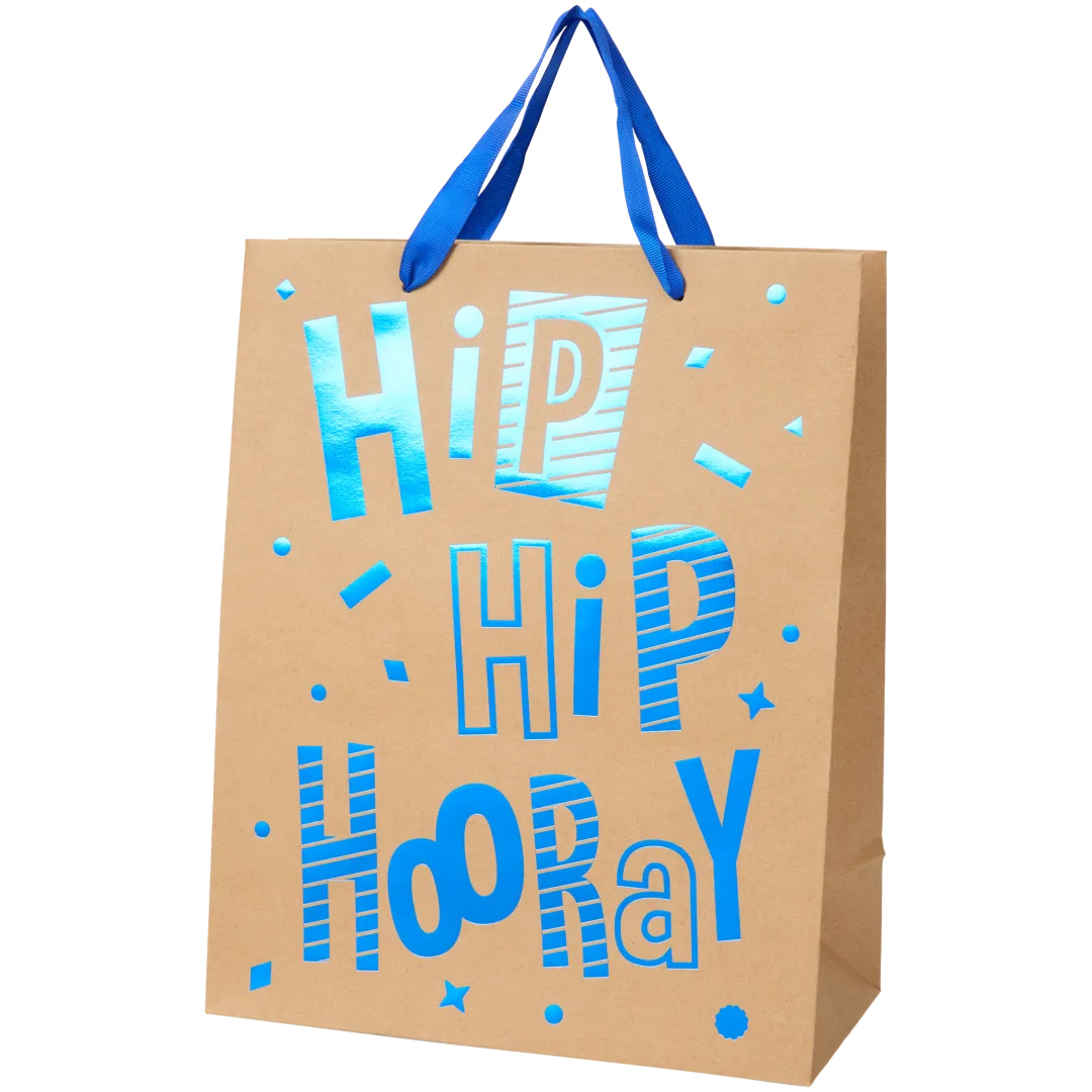 Pungă de cadou Kraft 4