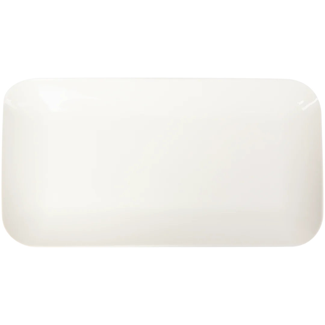 Assiette rectangulaire 2