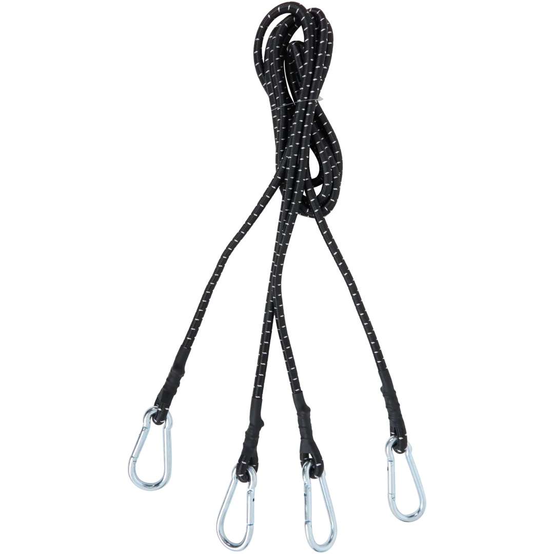 Karabiner-Spanngummis 2