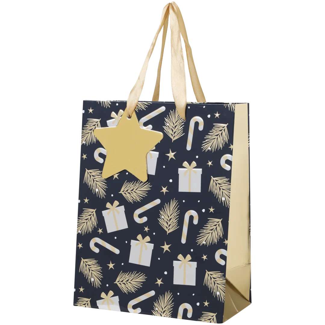 Metallic-Geschenktüte 7