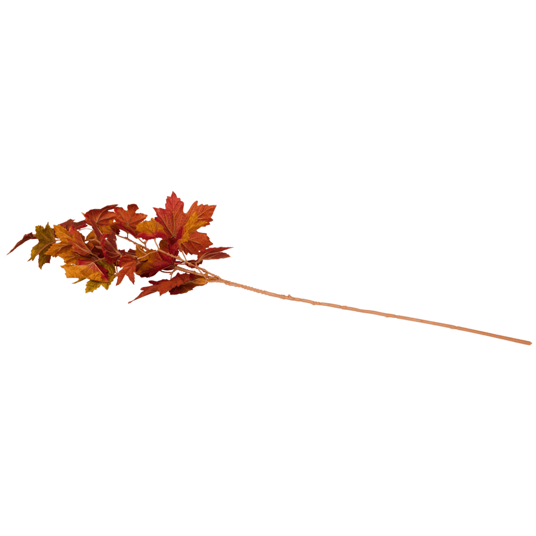 Feuilles d'automne sur branche 3