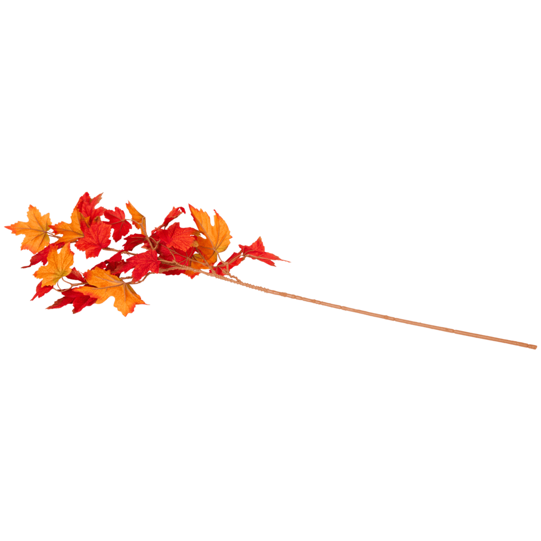 Feuilles d'automne sur branche 2
