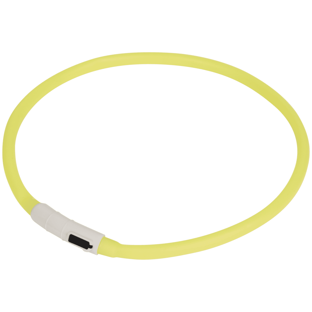 Collier LED rechargeable pour chien