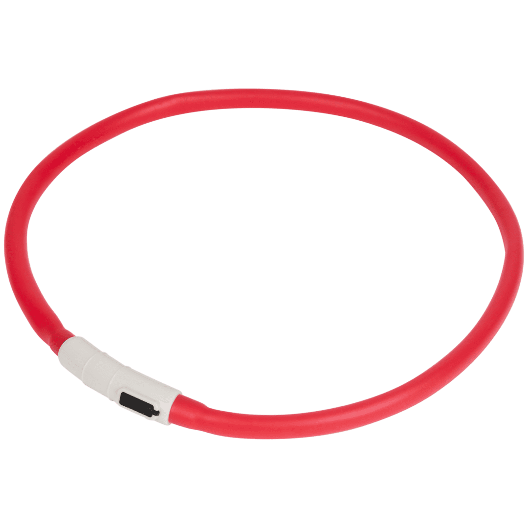 Collier LED rechargeable pour chien