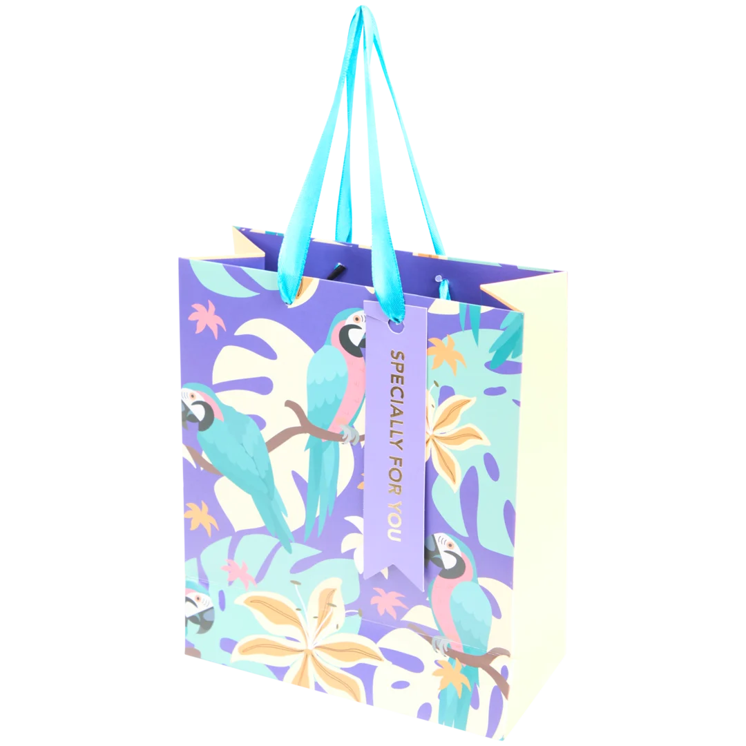 Cadeautas met folie 4