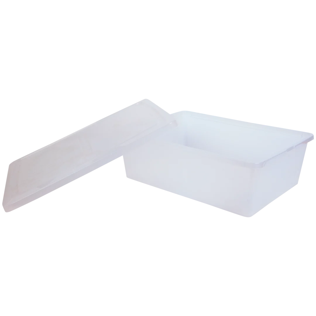 Iris Aufbewahrungsbox aus Kunststoff mit Deckel 2