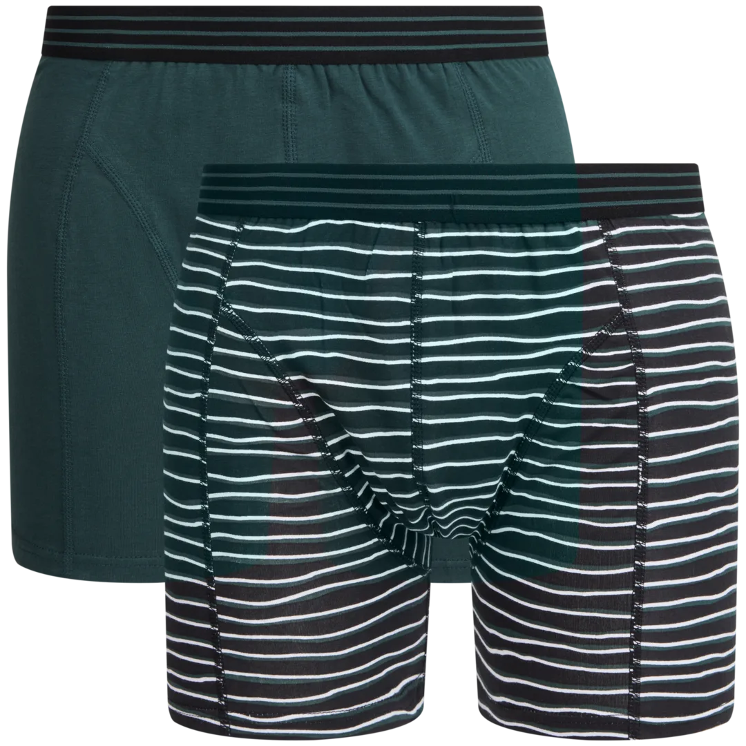 Boxers Ziki
