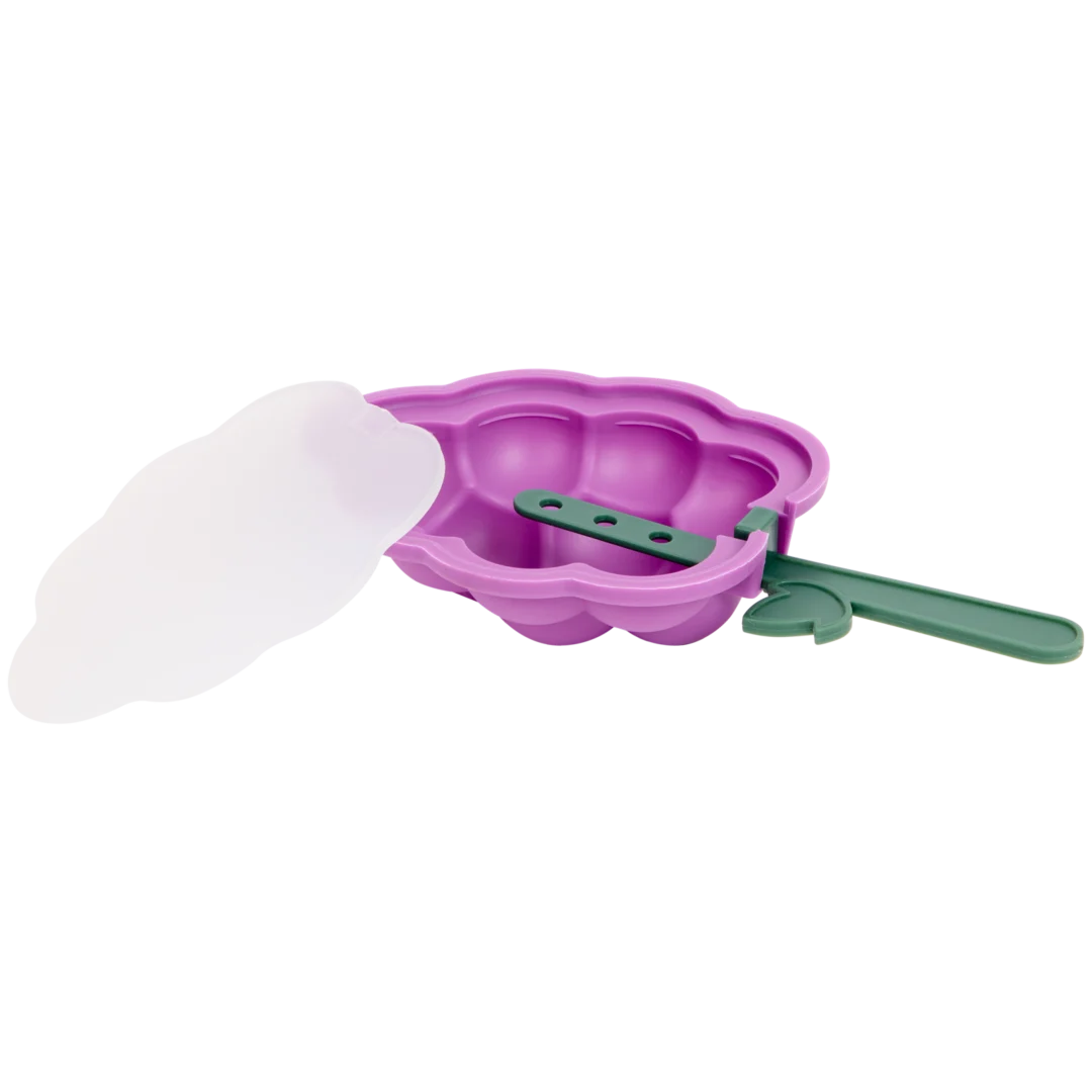 Moule à sucettes glacées 1