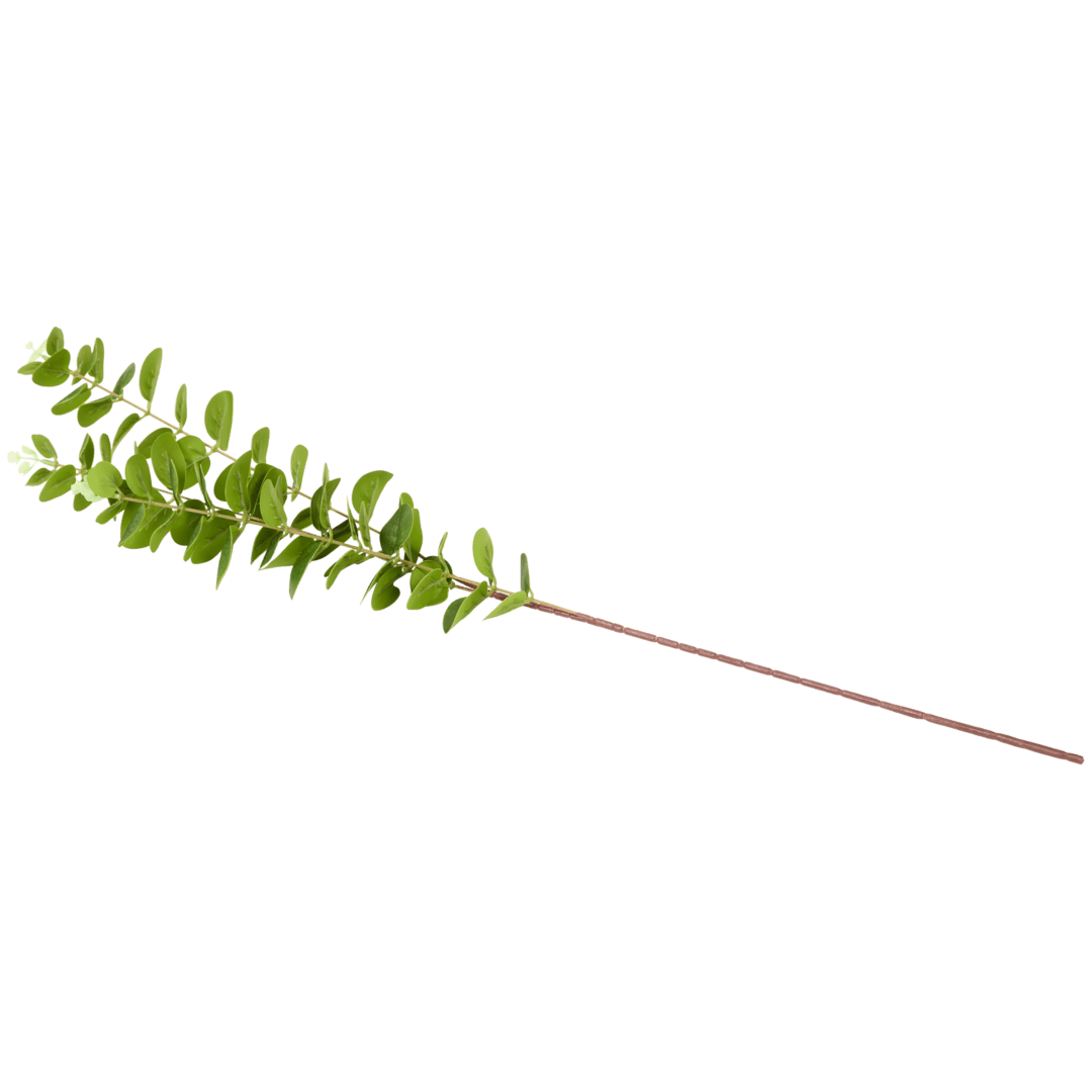 Excellent Flowers kunst-eucalyptus op steel