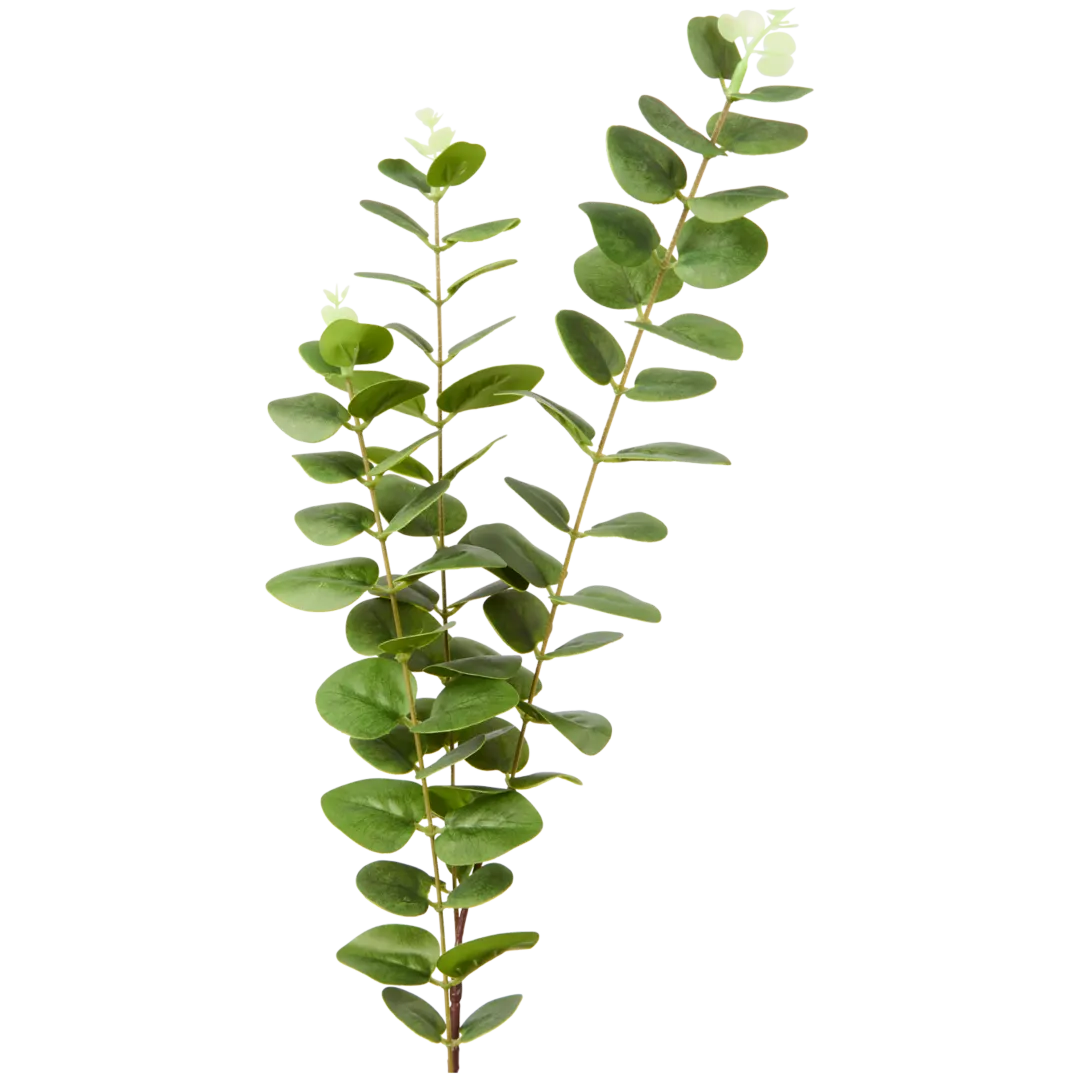 Excellent Flowers kunst-eucalyptus op steel