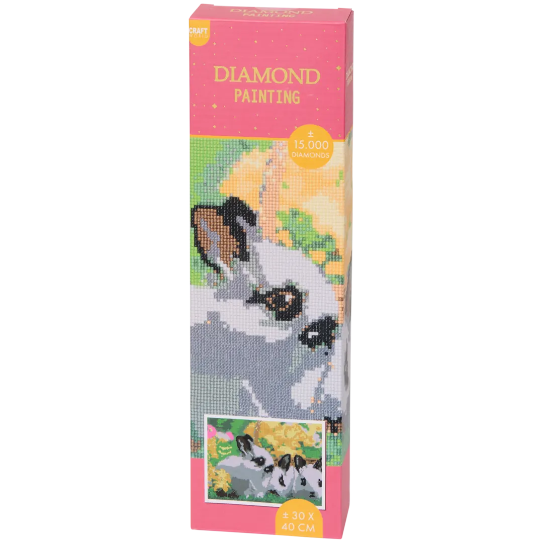 Peinture diamant 4