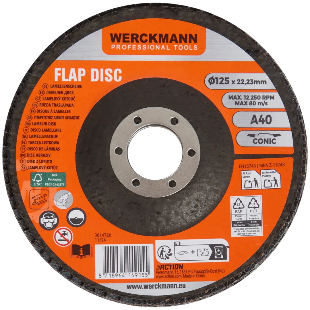 Werckmann lamellenschijf 1