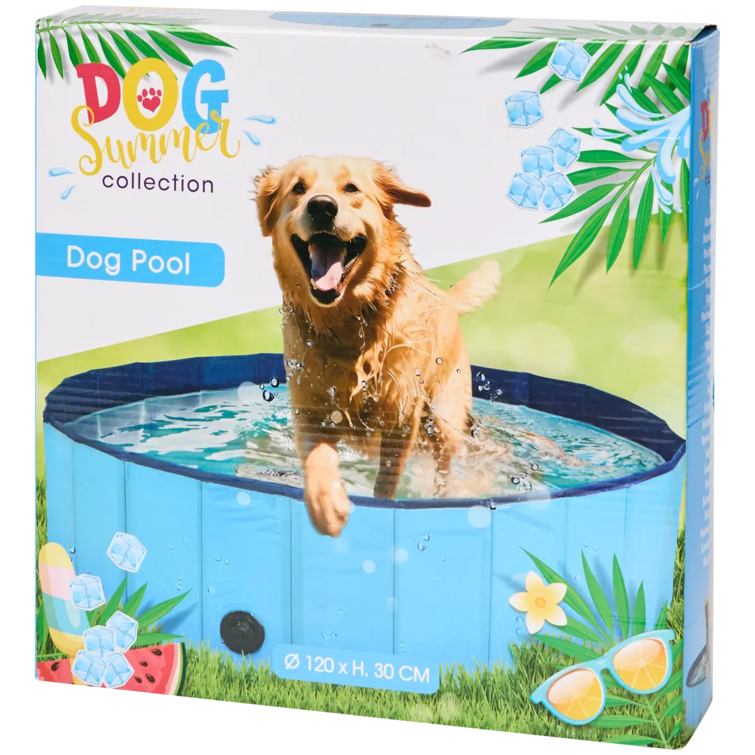 Piscine pour chien 1