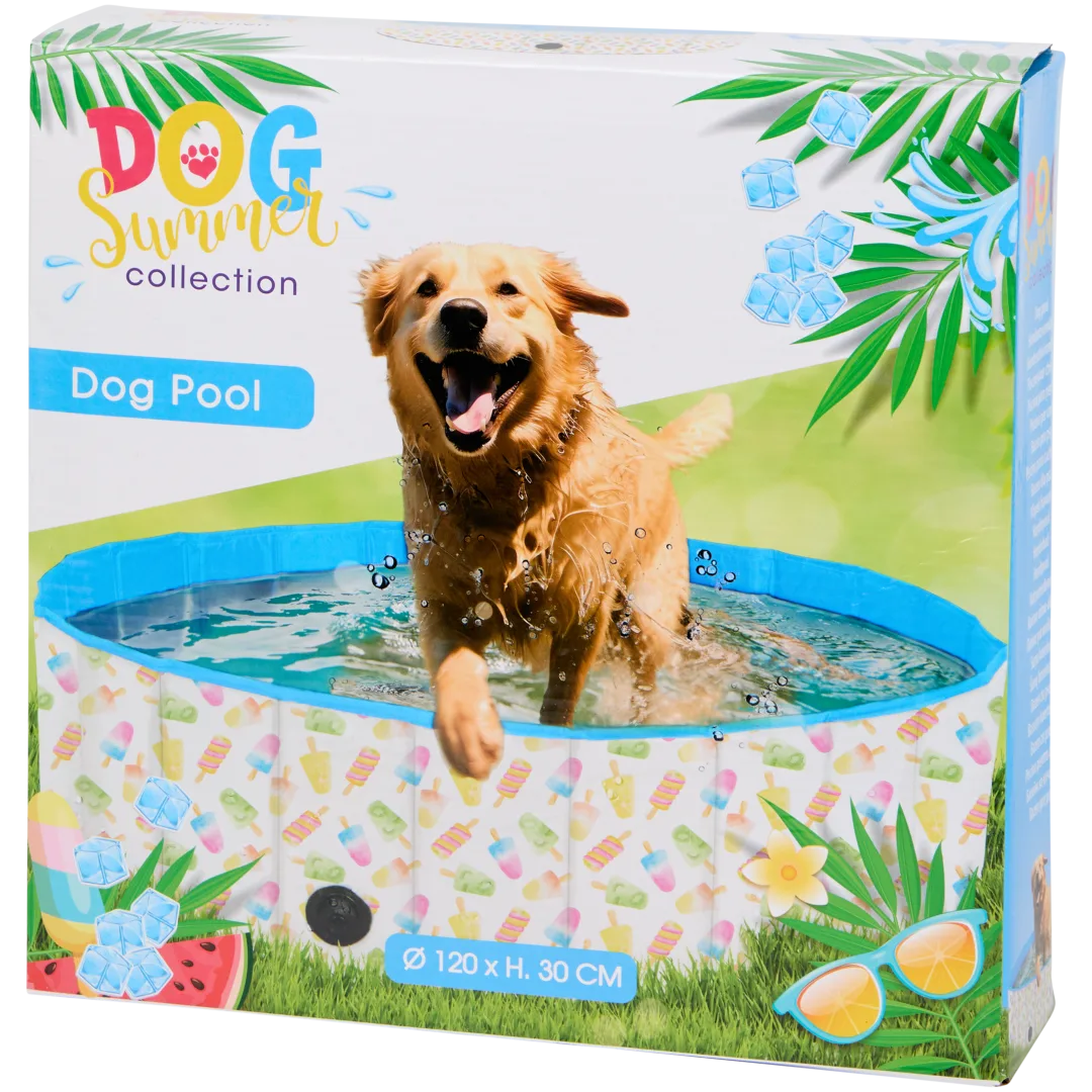 Piscine pour chiens 3