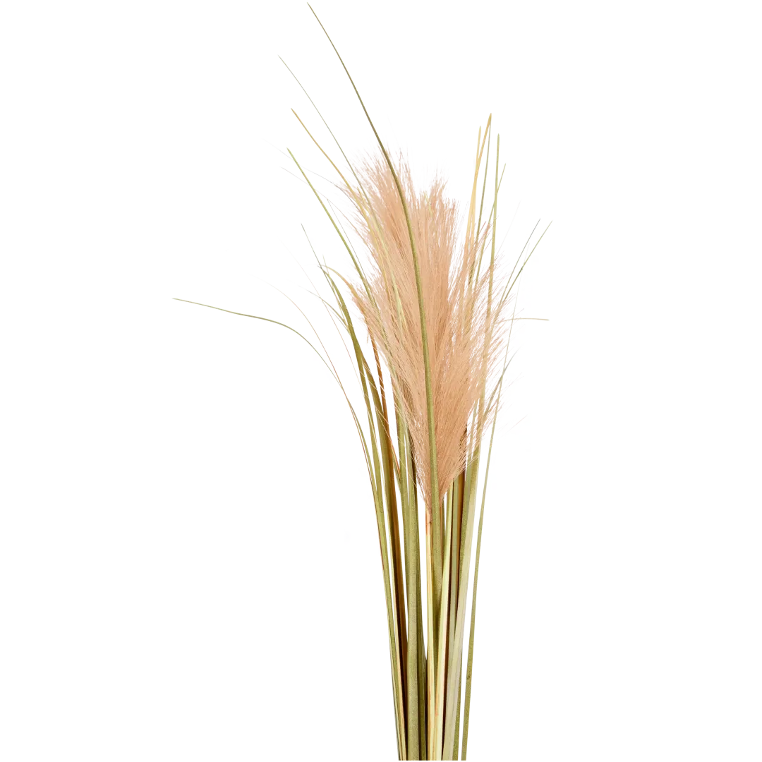 Erba di pampa artificiale Excellent Flowers 1