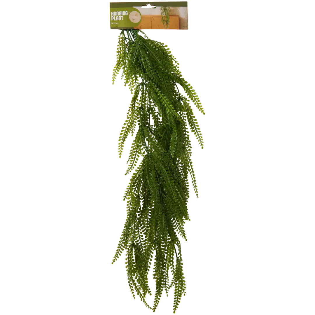 Plante suspendue