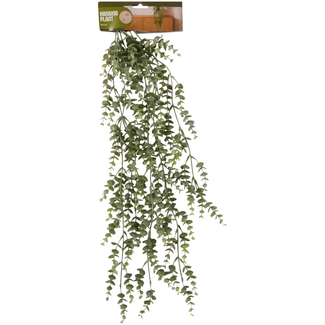 Plante suspendue