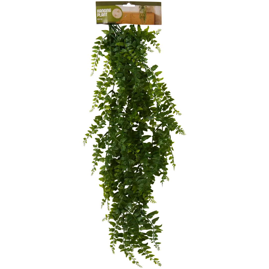 Plante suspendue