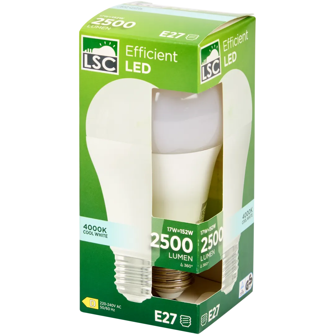 LSC LED-Leuchtmittel 1