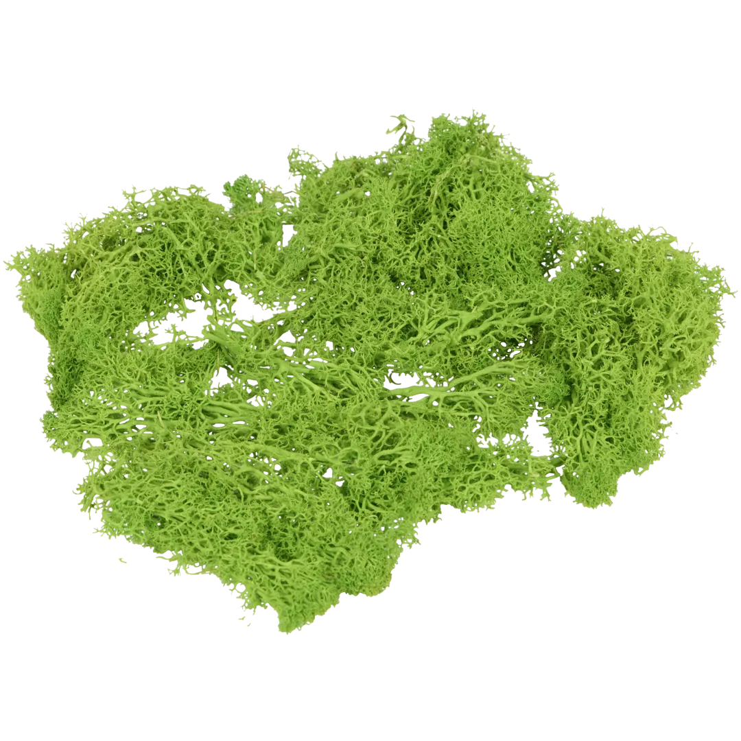 Decoratief mos 1