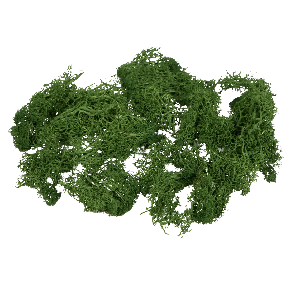 Decoratief mos 3