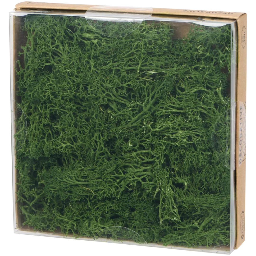 Decoratief mos 4