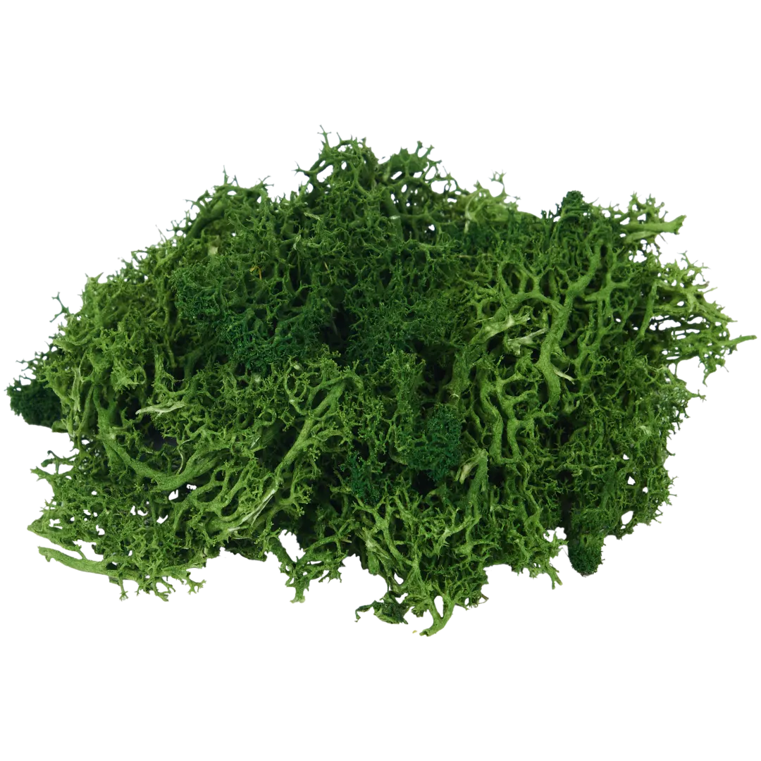 Musgo decorativo Home Accents 1