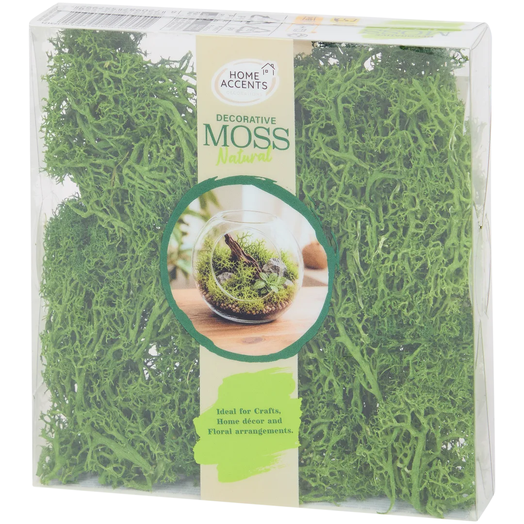 Musgo decorativo Home Accents 2