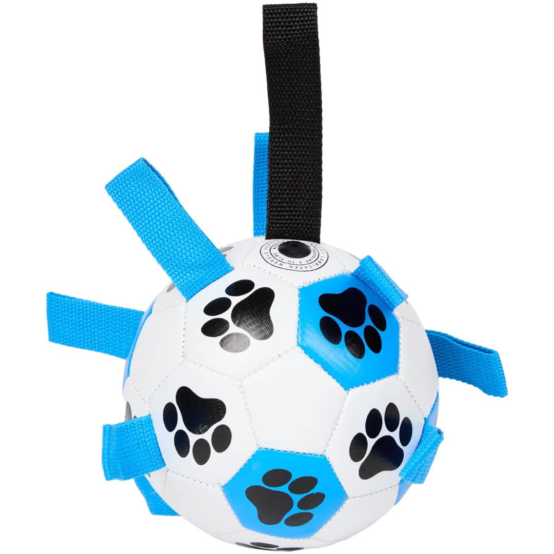 Balle à jouer pour chien 2