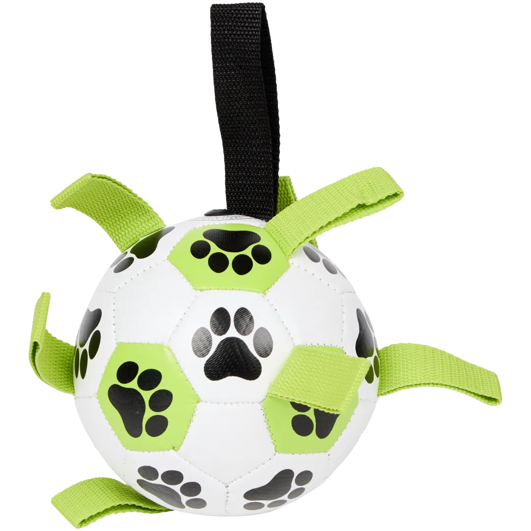 Balle à jouer pour chien 1