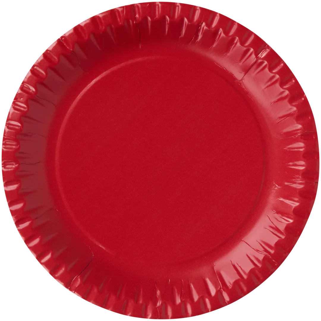 Assiettes en carton