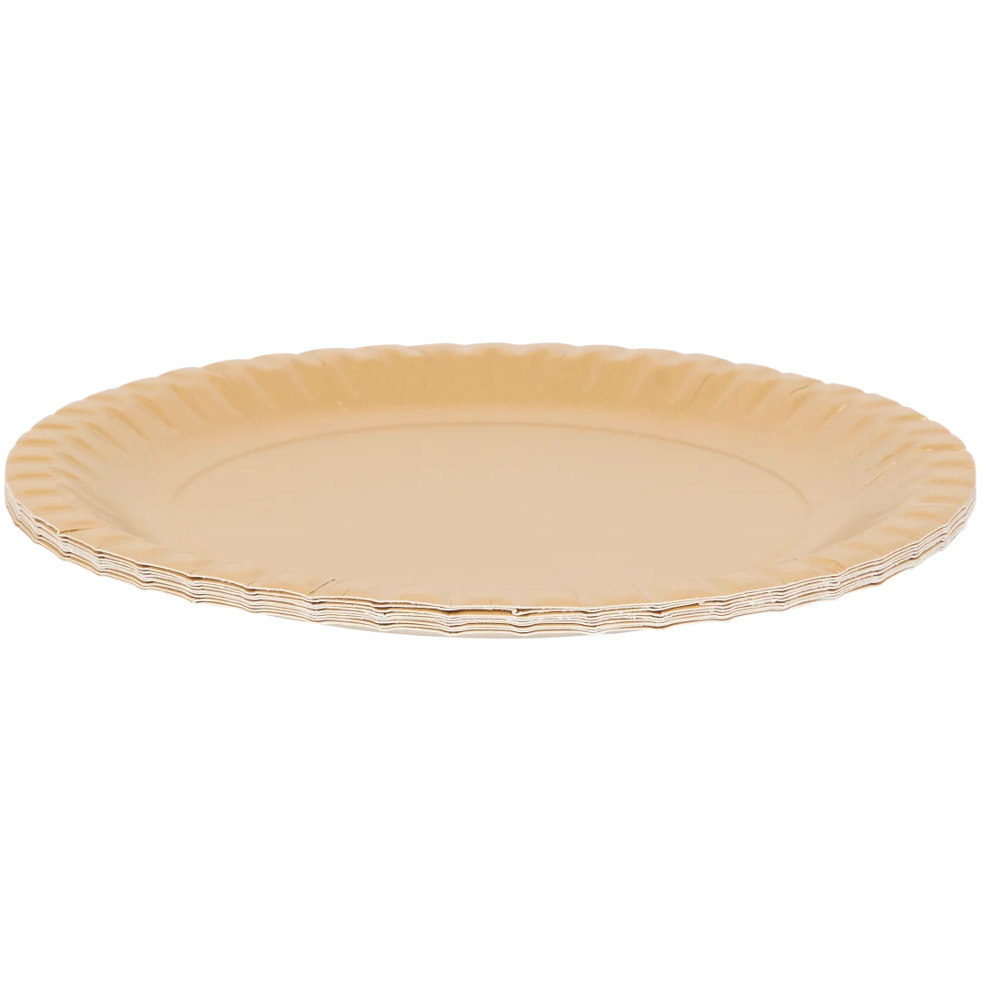 Assiettes en carton