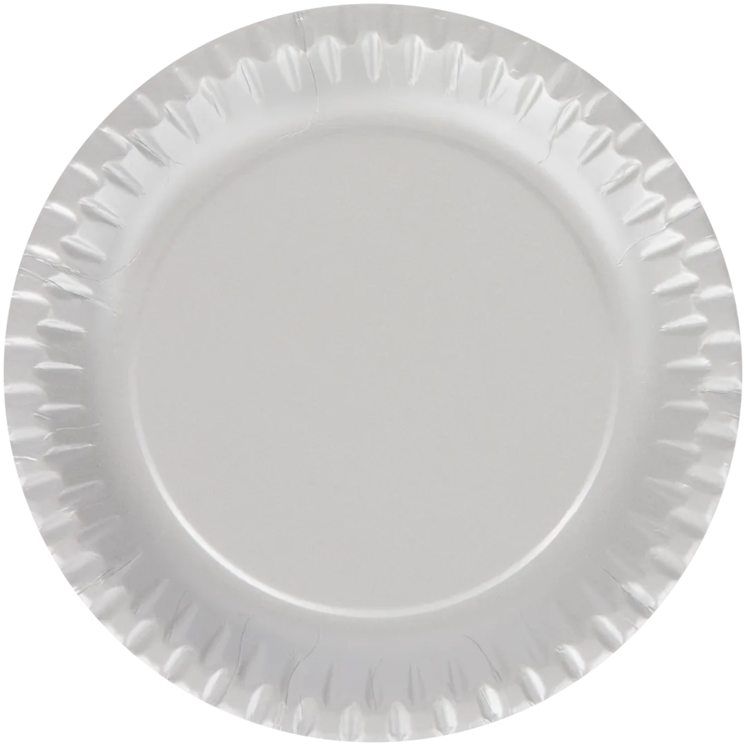 Assiettes en carton