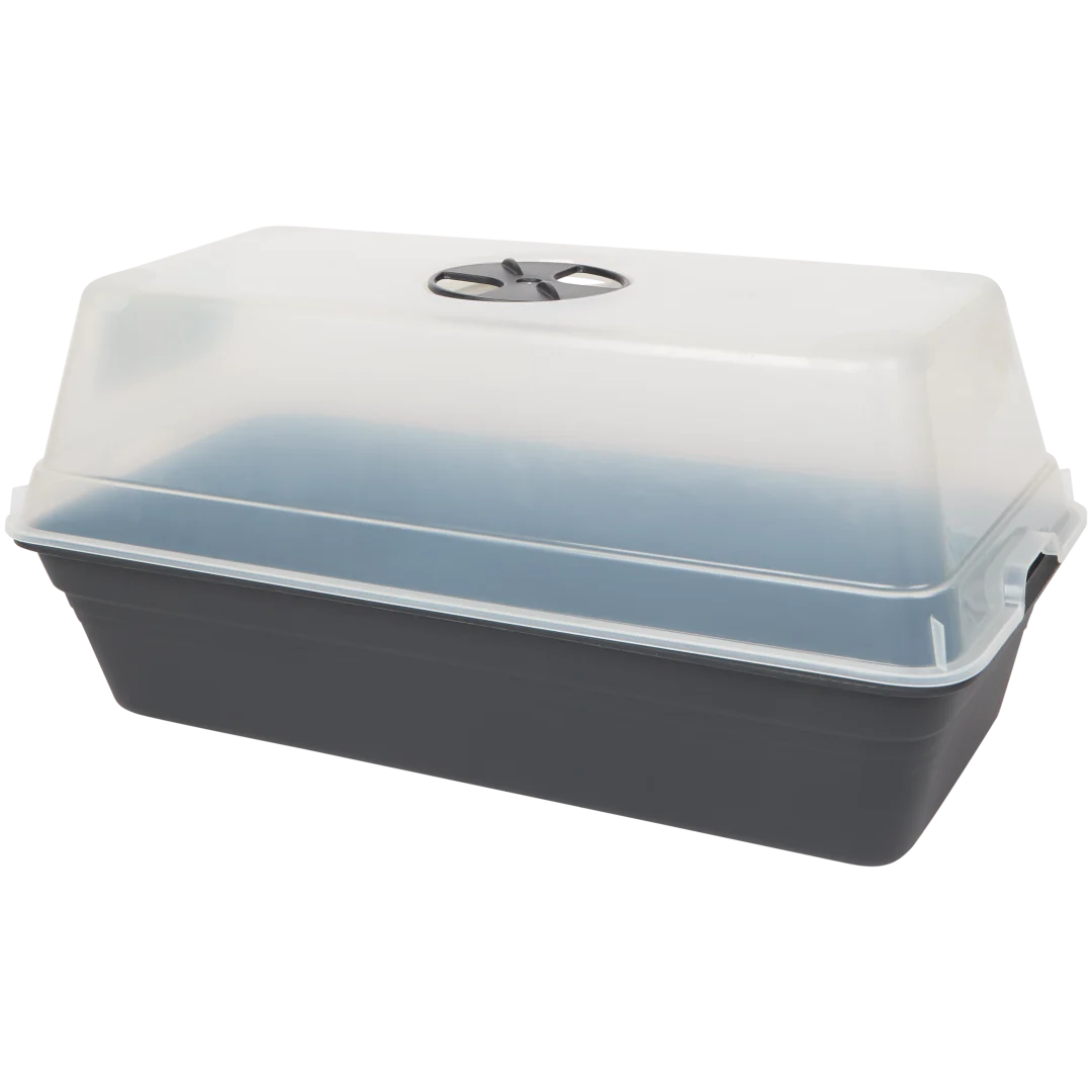 Mini-Gewächshaus mit Deckel 1