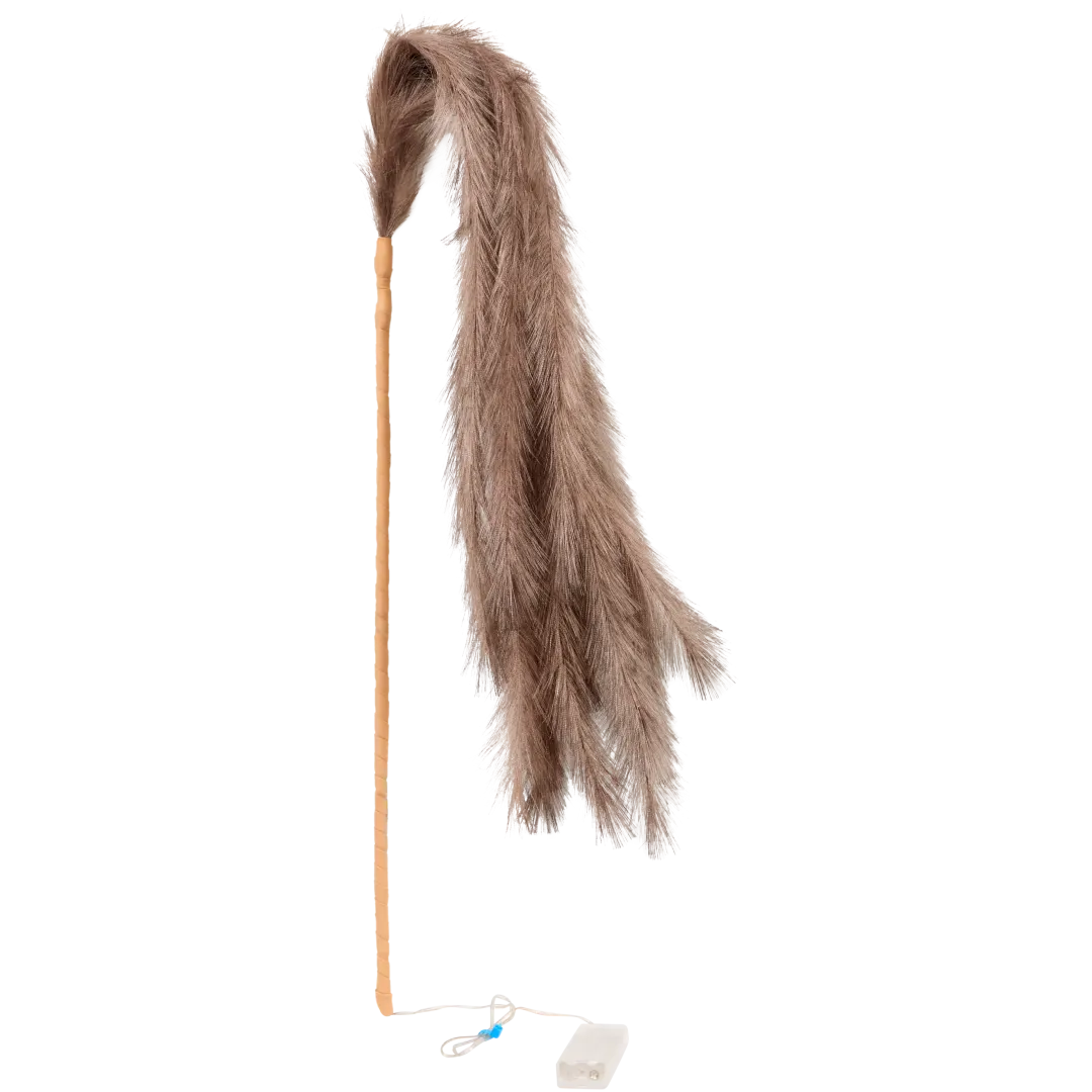 Verenpluim met licht 2