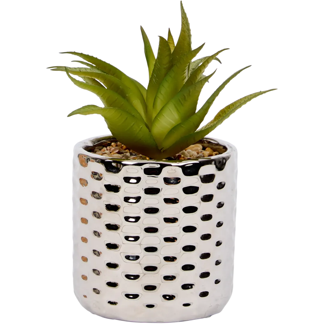 Pianta grassa finta in vaso 1