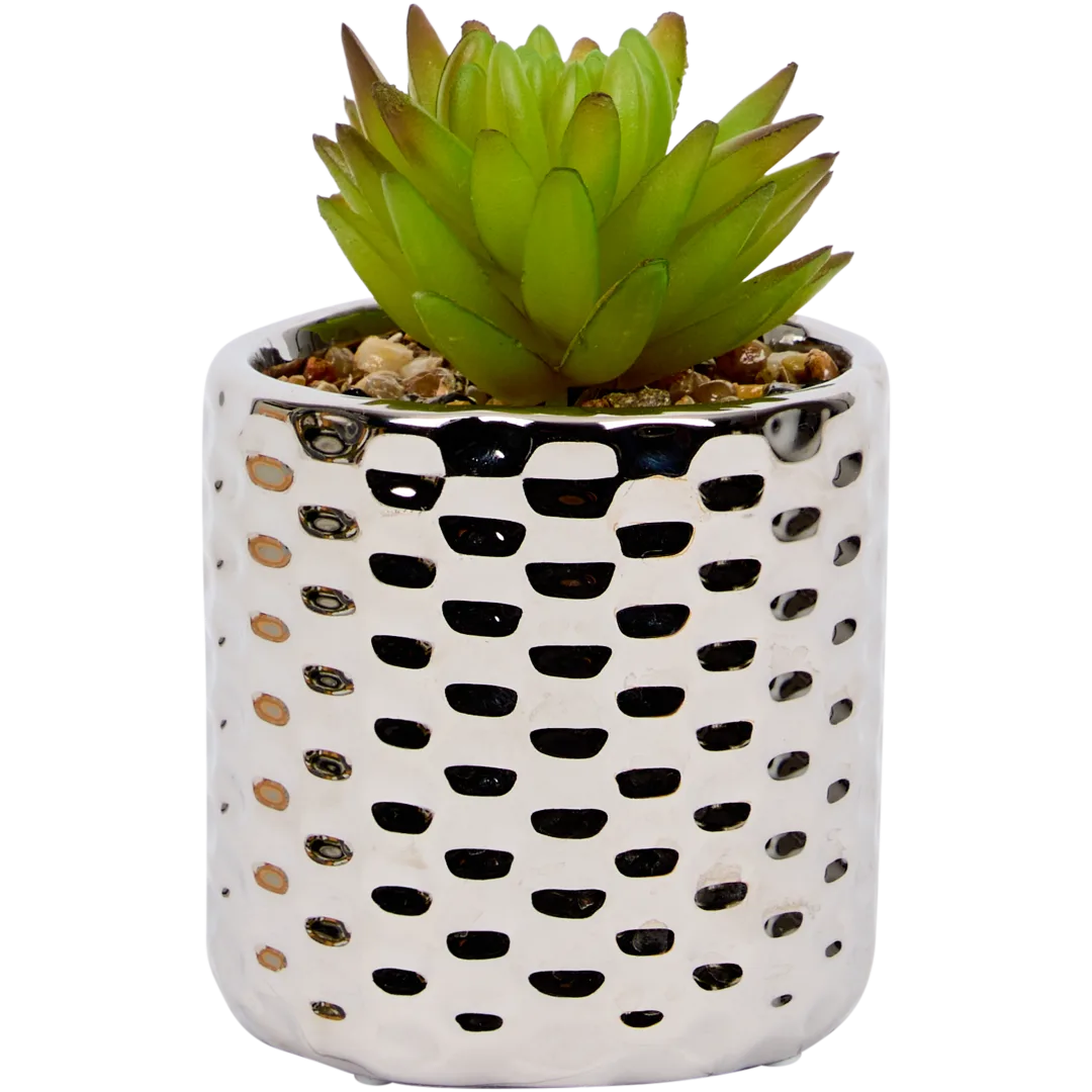 Pianta grassa finta in vaso 4