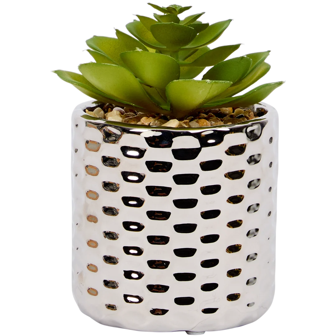 Pianta grassa finta in vaso 7