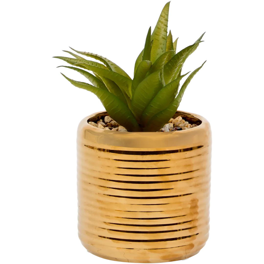 Pianta grassa finta in vaso 2