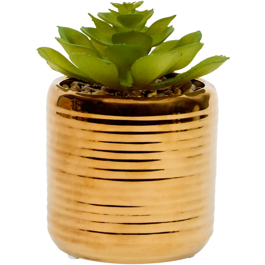 Pianta grassa finta in vaso 5