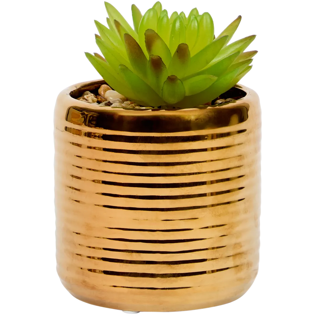 Pianta grassa finta in vaso 8