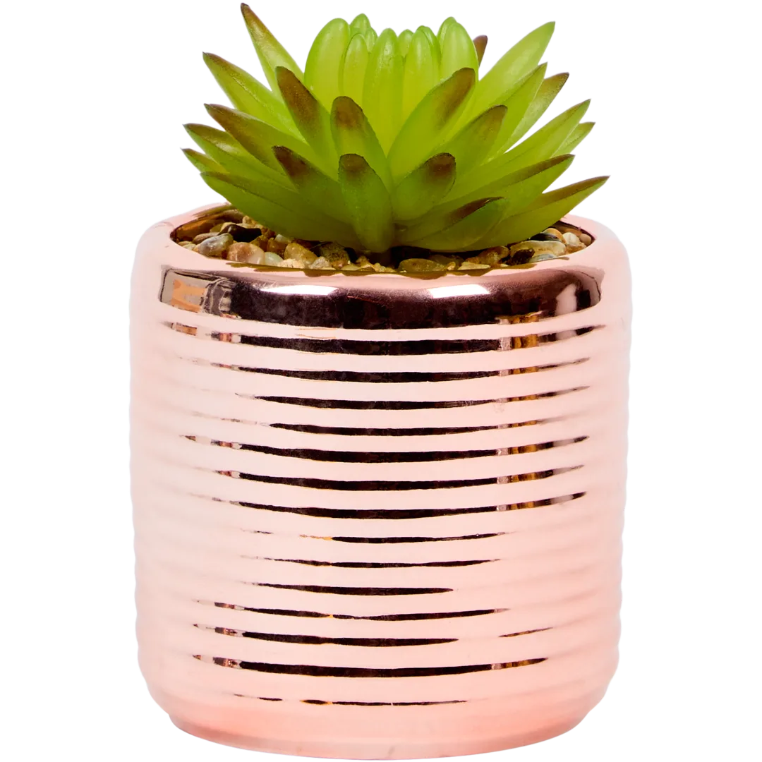 Pianta grassa finta in vaso 3