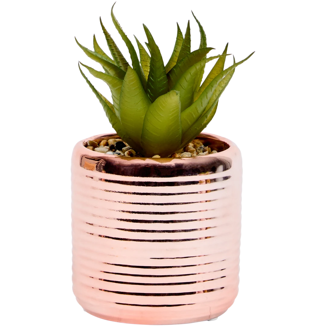 Pianta grassa finta in vaso 6