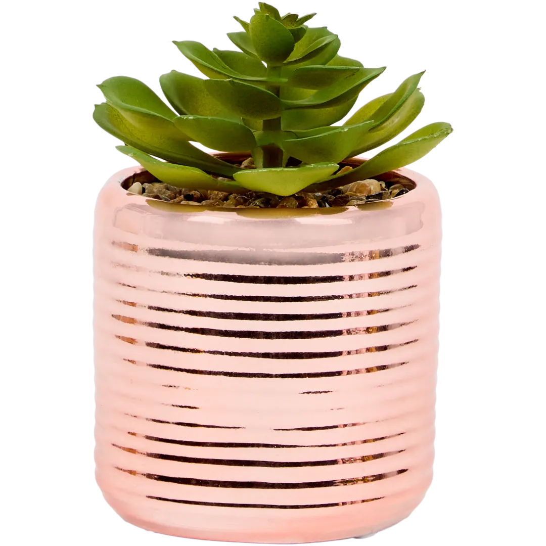 Pianta grassa finta in vaso 9