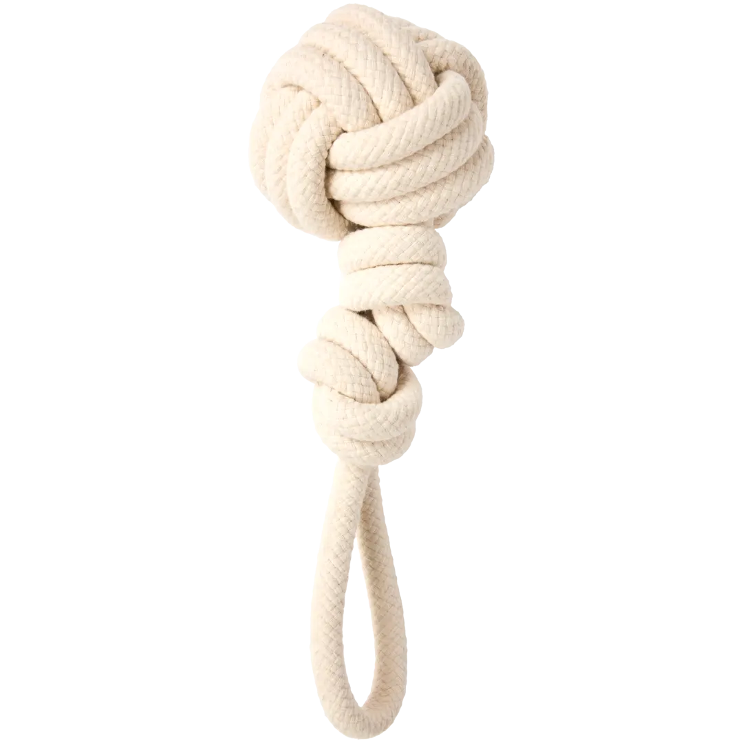 Jouet pour chien Beasty 4