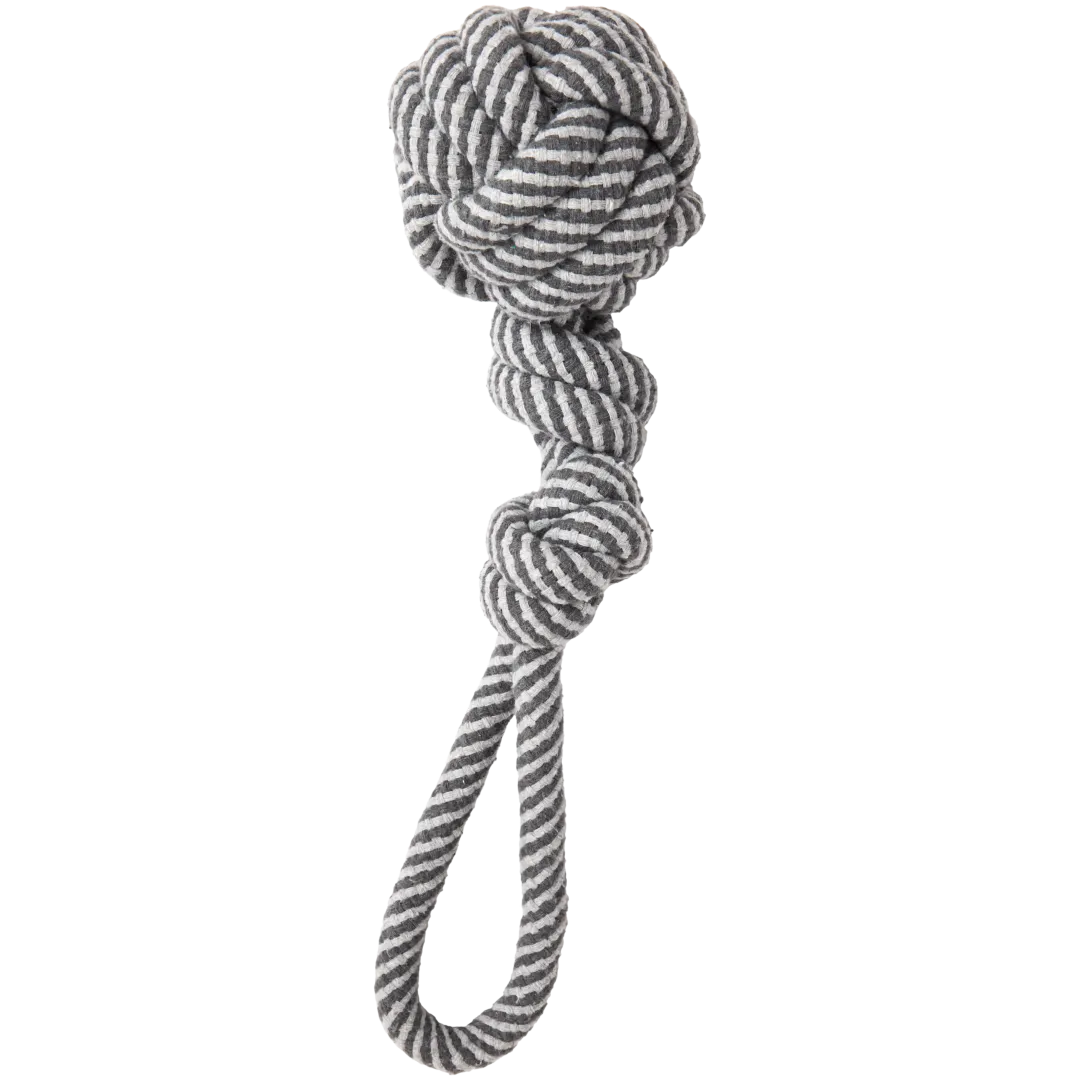 Jouet pour chien Beasty 3