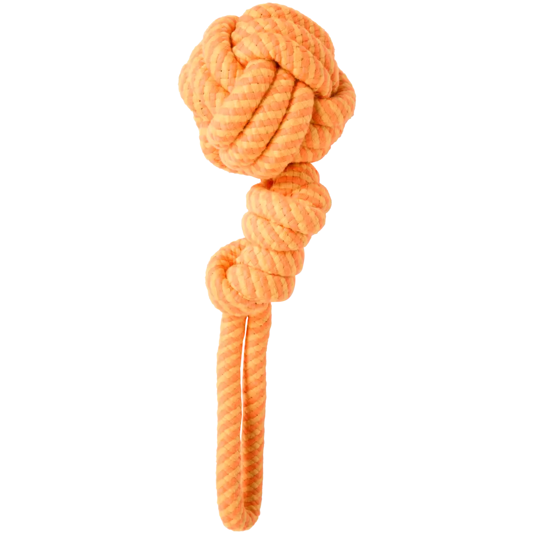 Jouet pour chien Beasty 1