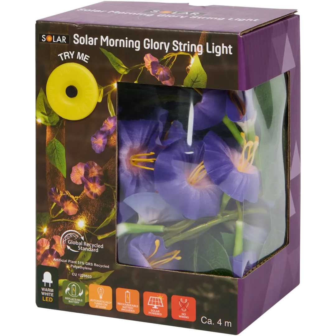 Solární světelný řetěz Solar 5