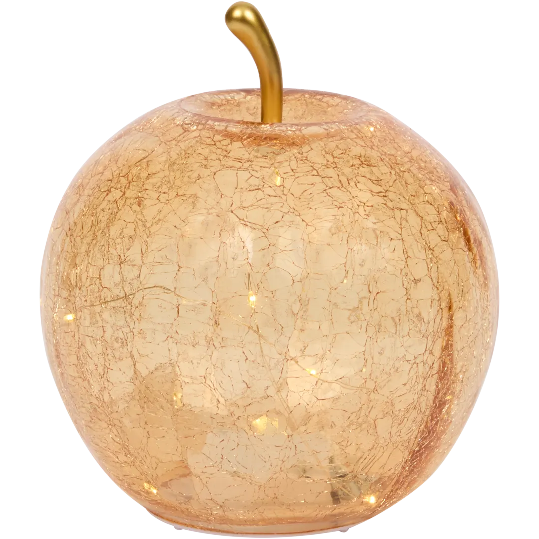 Glazen appel met ledlicht 4