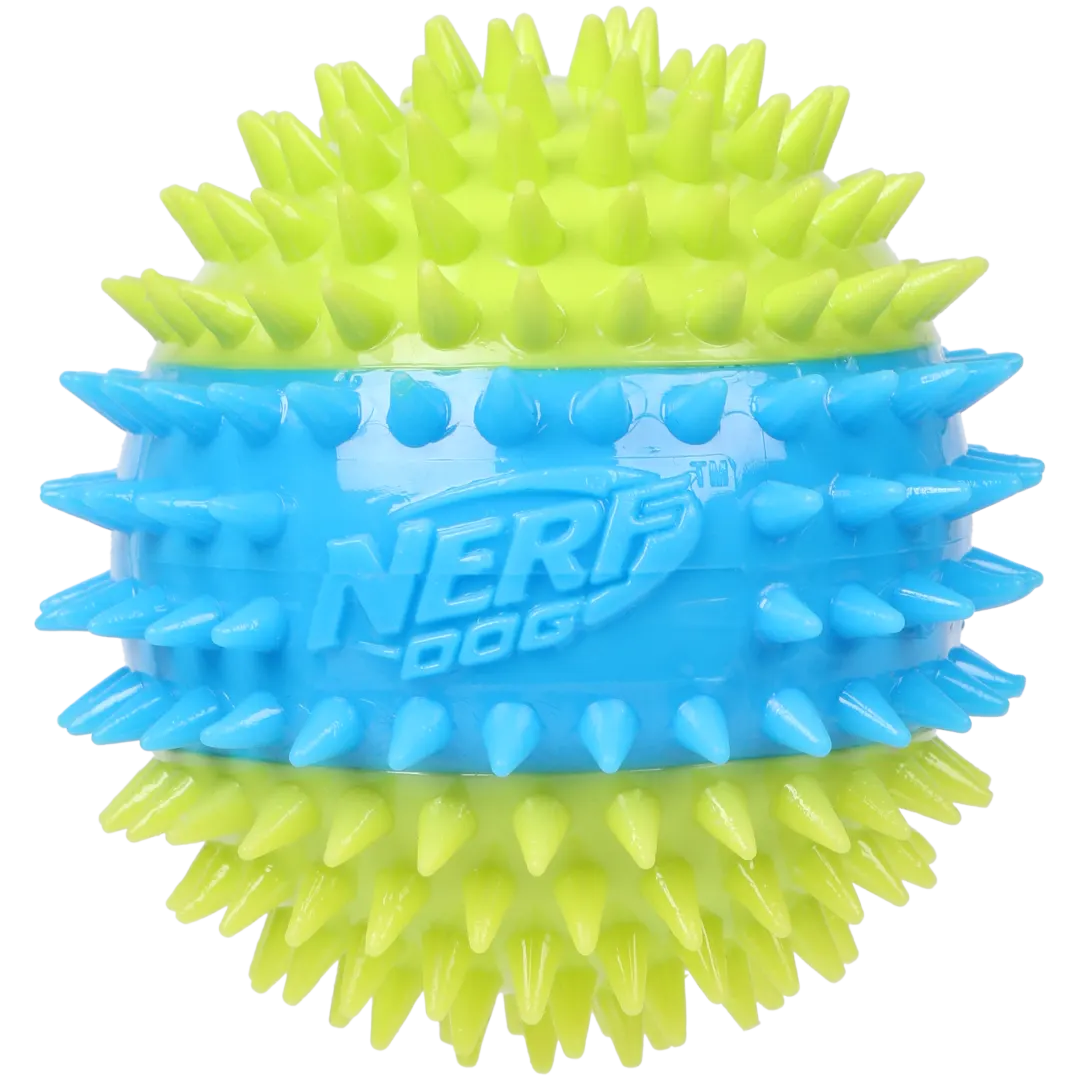 Jouet pour chien Nerf